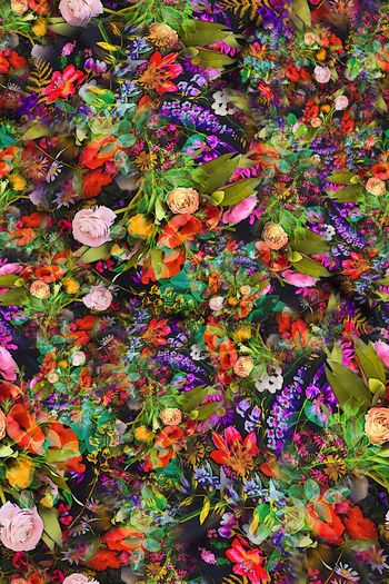 308609-多彩黑底小碎花花卉花朵组合