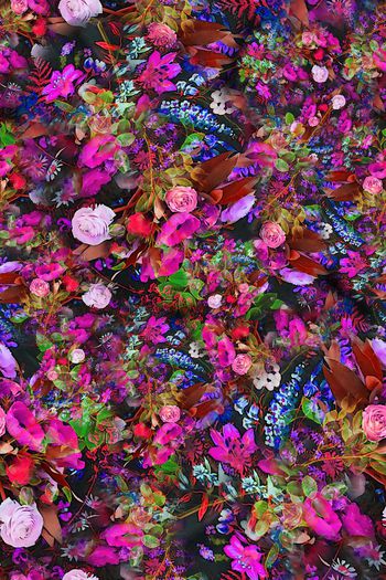 308610-多彩黑底小碎花花卉花朵组合