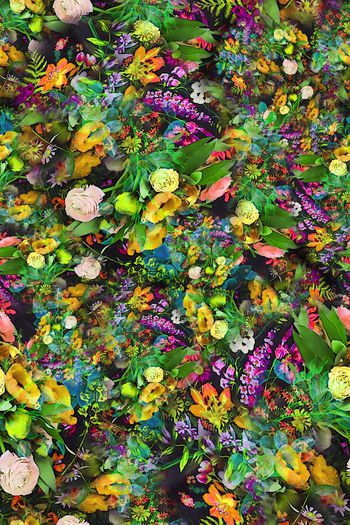 308611-多彩黑底小碎花花卉花朵组合