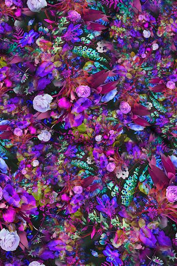 308612-多彩黑底小碎花花卉花朵组合