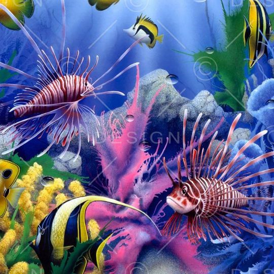 印花华亿平台图片