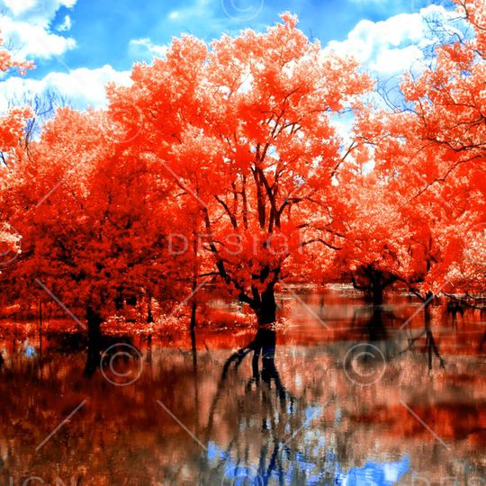 印花华亿平台图片