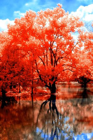 印花华亿平台图片