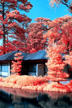 印花华亿平台图片