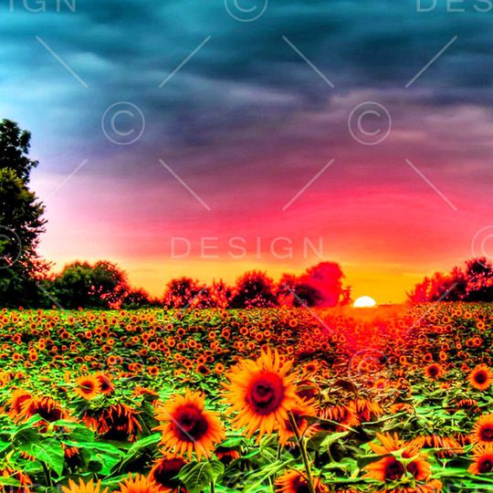 印花华亿平台图片