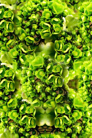 ♥红桃A〖复古时代〗印花华亿平台图片