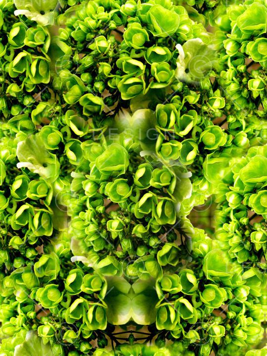 ♥红桃A〖复古时代〗印花华亿平台图片