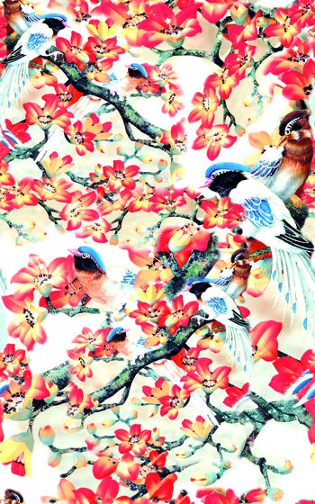 309302-富贵花鸟1