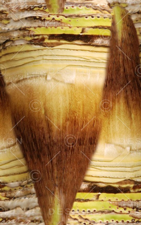 肌理印花华亿平台图片