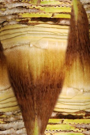 肌理印花华亿平台图片