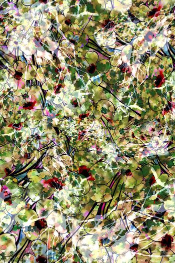 309611-抽象花卉花朵迷彩风