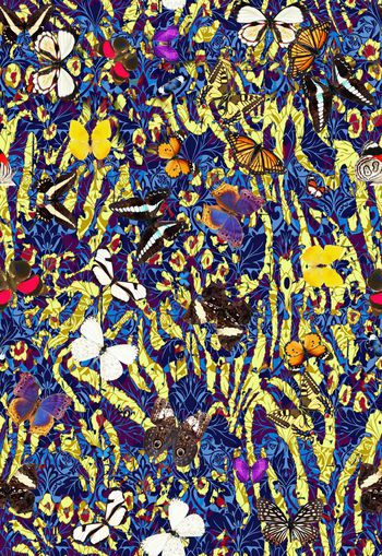 309878-WT326花丛蝴蝶图案组合休闲假日