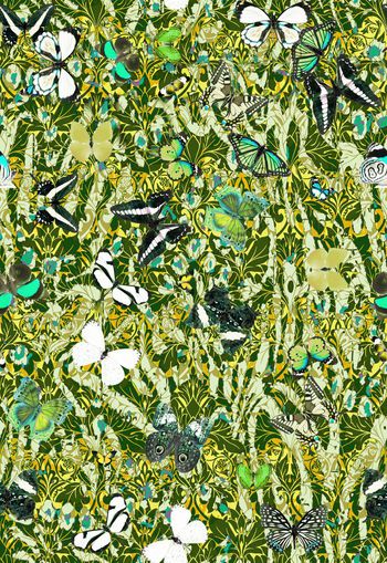 309881-花丛蝴蝶图案组合休闲假日唯美华亿平台印