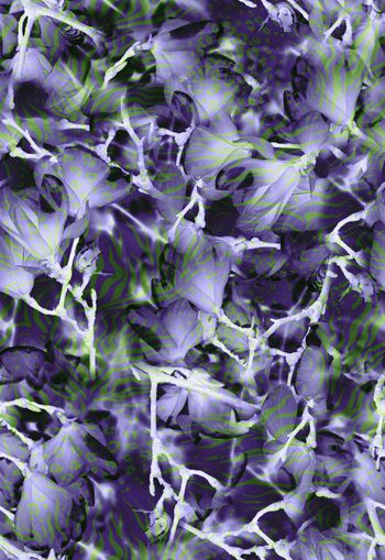 309896-兰花花卉动物纹斑马纹豹纹组合叠层复