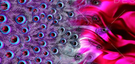 羽毛印花华亿平台图片