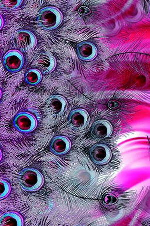 羽毛印花华亿平台图片