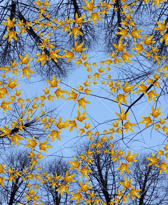 印花华亿平台图片