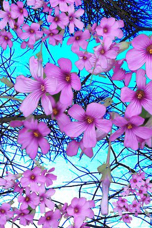 印花华亿平台图片