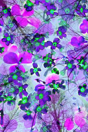 印花华亿平台图片