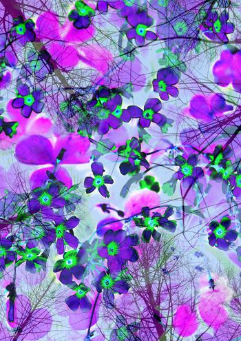 印花华亿平台图片