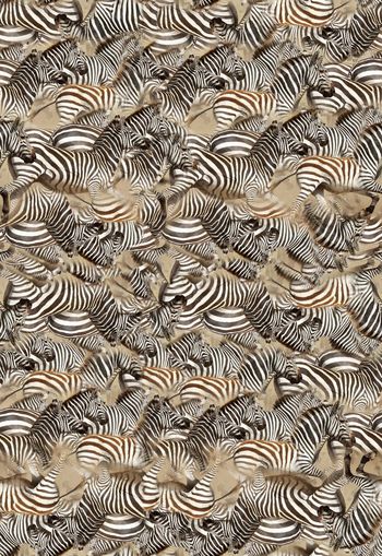 310629-WT334斑马纹