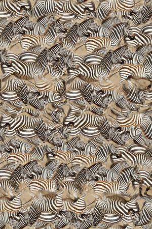 休闲印花华亿平台图片