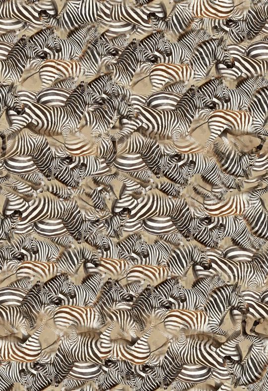 休闲印花华亿平台图片