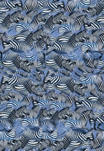 310630-斑马斑马纹动物动物纹休闲印花