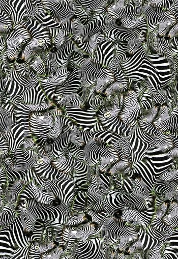 310632-WT335动物纹乱花