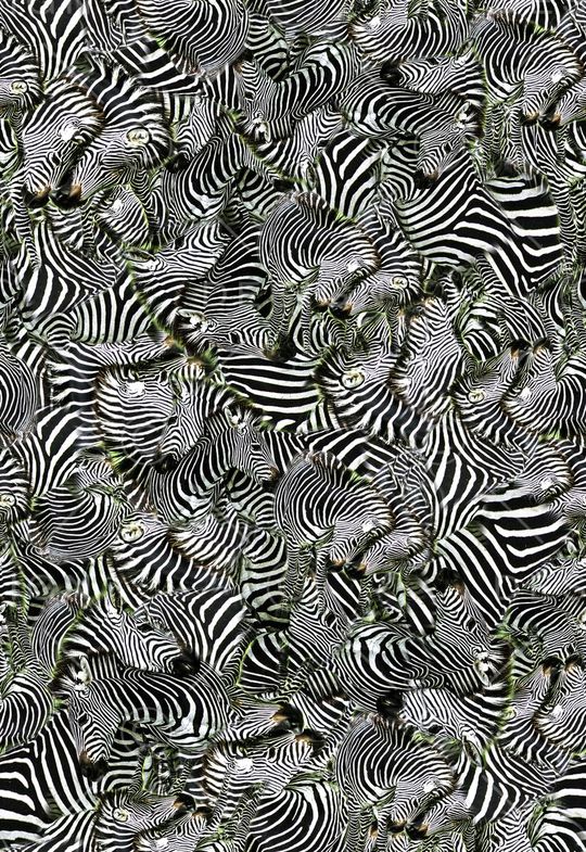 休闲印花华亿平台图片