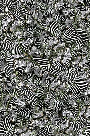 休闲印花华亿平台图片