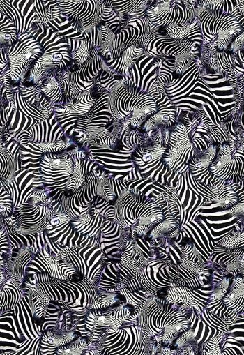 310633-斑马斑马纹动物动物纹乱花休闲印花