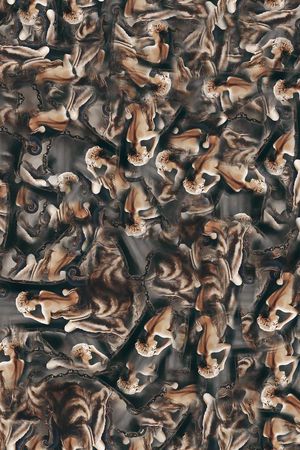 流行时尚印花华亿平台图片