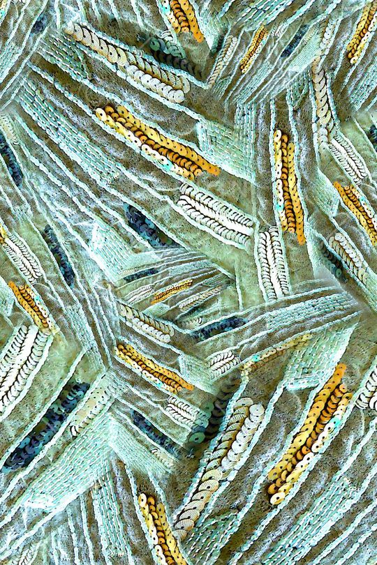 数码★抽象图案印花华亿平台图片