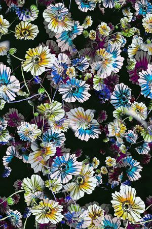 数码★花卉图案印花华亿平台图片