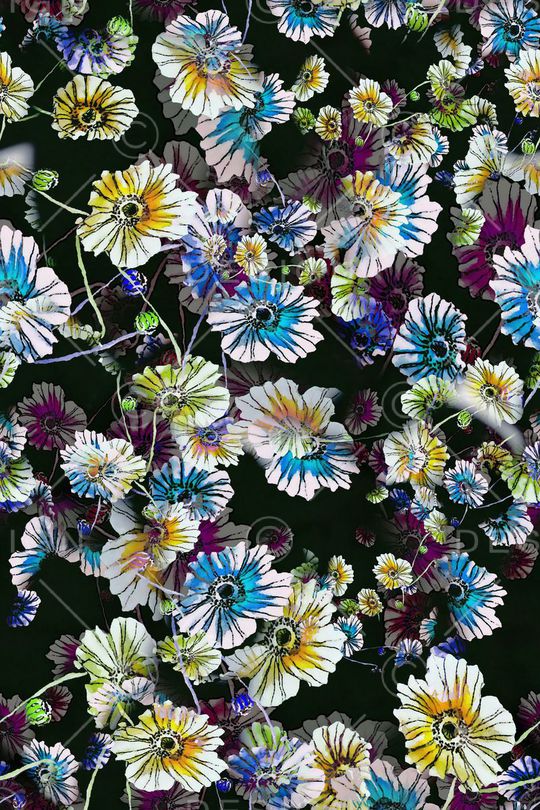 数码★花卉图案印花华亿平台图片