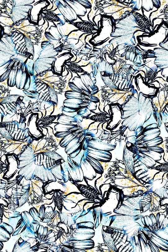 数码★动物类印花华亿平台图片