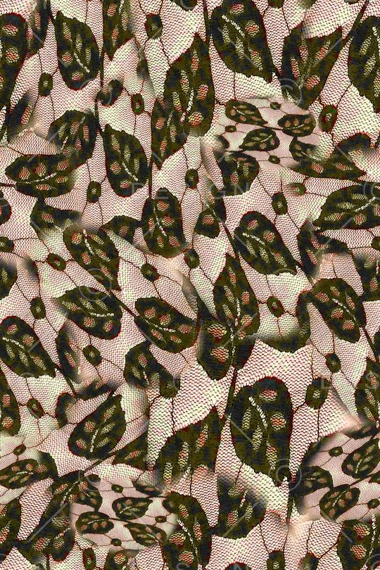 数码★花卉图案印花华亿平台图片