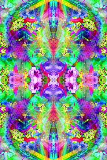 311729-2014数码花卉04y03