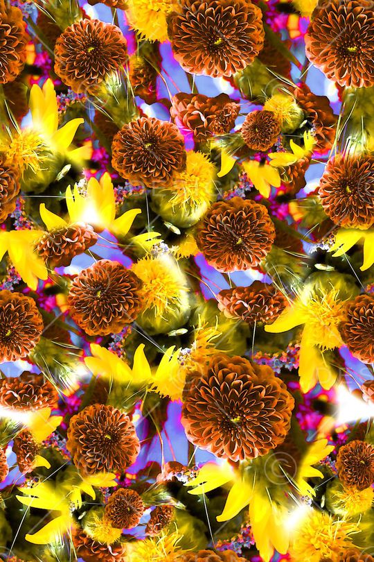 数码★花卉图案印花华亿平台图片