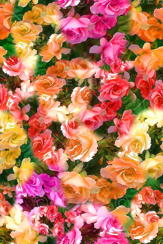 数码★花卉图案印花华亿平台图片