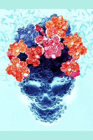 欧式宫廷印花华亿平台图片