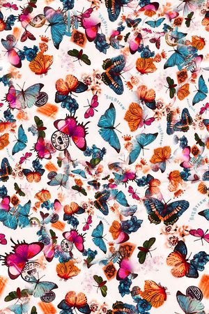 数码★动物类印花华亿平台图片