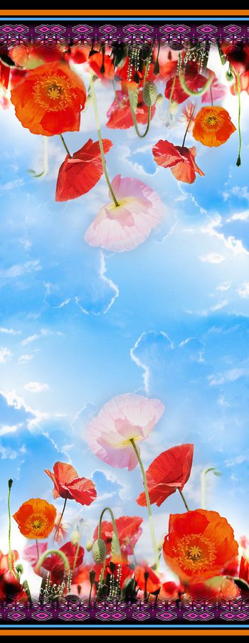 311892-数码多彩罂粟花绽放长巾