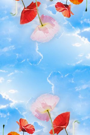 围巾印花华亿平台图片