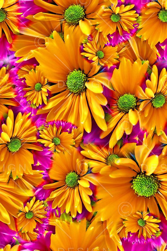 数码★花卉图案印花华亿平台图片