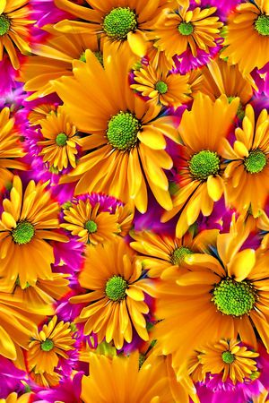 数码★花卉图案印花华亿平台图片