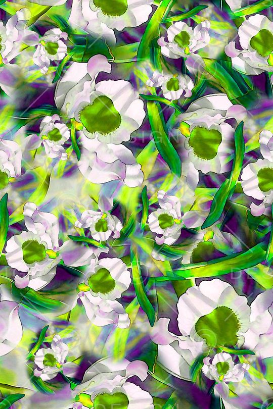 数码★花卉图案印花华亿平台图片