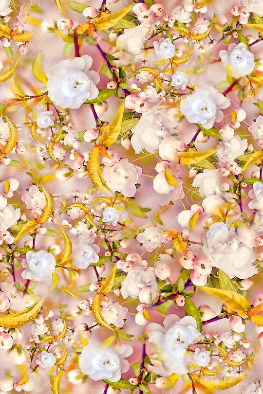 数码★花卉图案印花华亿平台图片