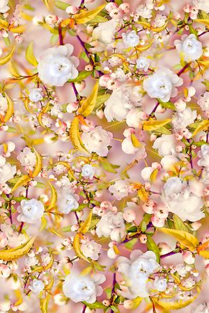 数码★花卉图案印花华亿平台图片